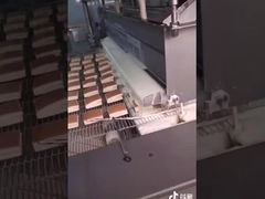 Chocolat pur de 5HP 1000mm enrobant la machine avec les capteurs de niveau